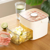 Double Layer Portable Ice Cube Tray Box